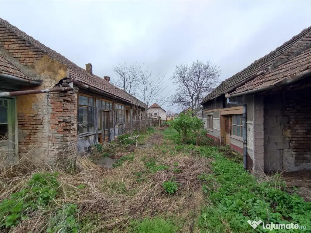 Iecea Mare - Timis, Casa cu Gradina, 1800mp Teren, Pret Nego 