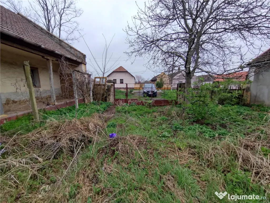 Iecea Mare - Timis, Casa cu Gradina, 1800mp Teren, Pret Nego 