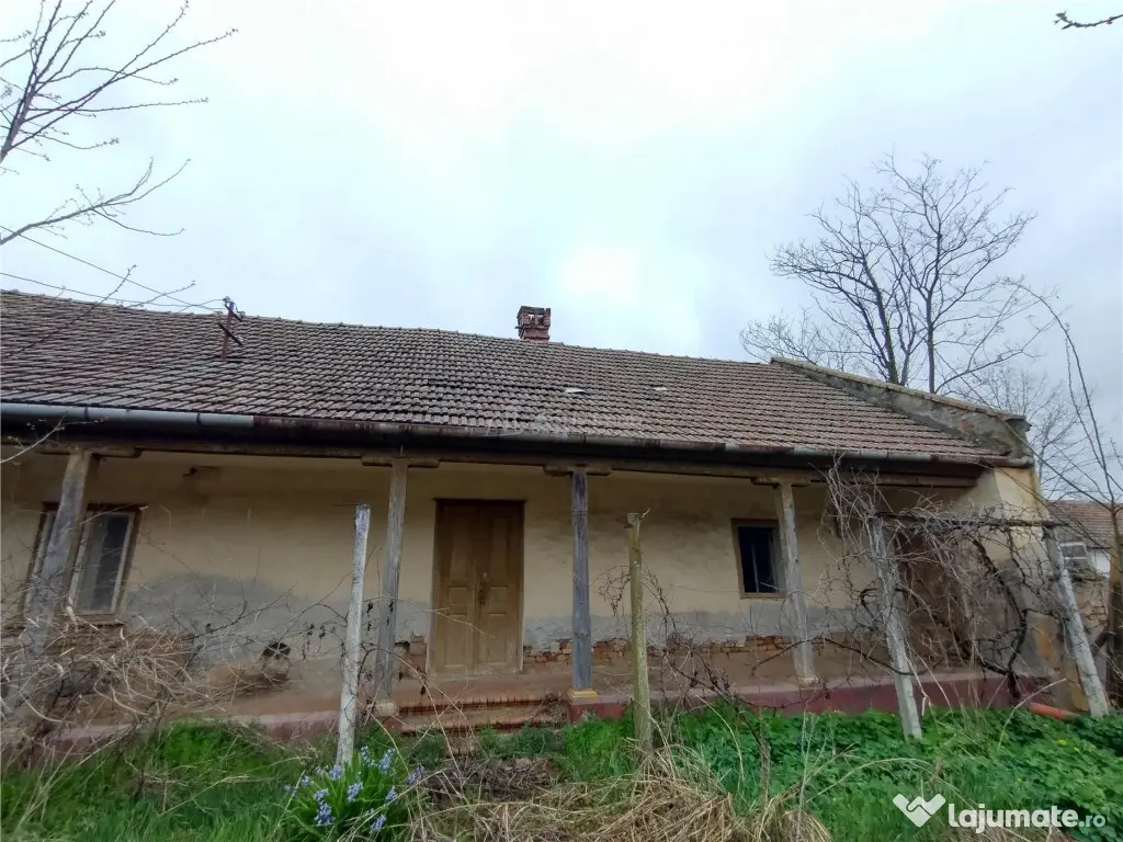 Iecea Mare - Timis, Casa cu Gradina, 1800mp Teren, Pret Nego 