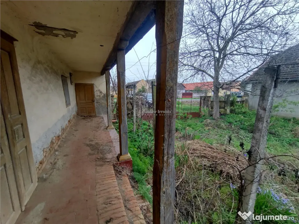 Iecea Mare - Timis, Casa cu Gradina, 1800mp Teren, Pret Nego 