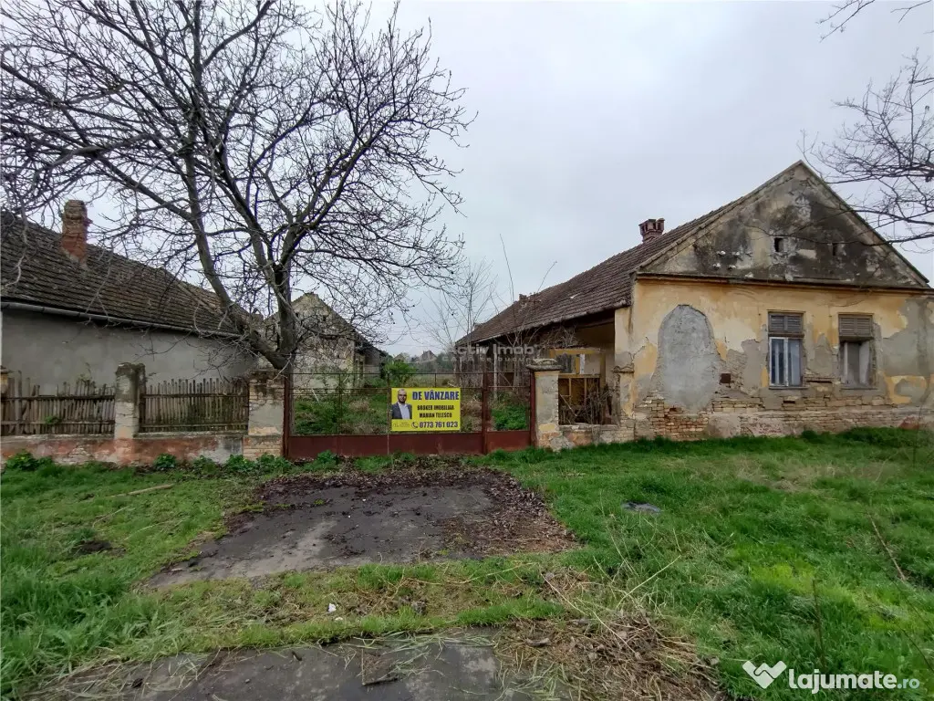 Iecea Mare - Timis, Casa cu Gradina, 1800mp Teren, Pret Nego 