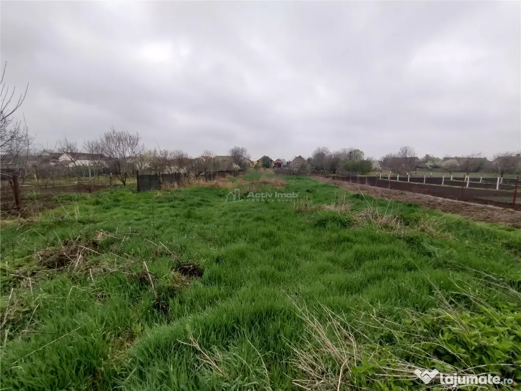 Iecea Mare - Timis, Casa cu Gradina, 1800mp Teren, Pret Nego 