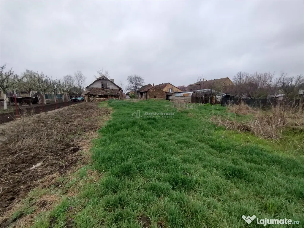 Iecea Mare - Timis, Casa cu Gradina, 1800mp Teren, Pret Nego 