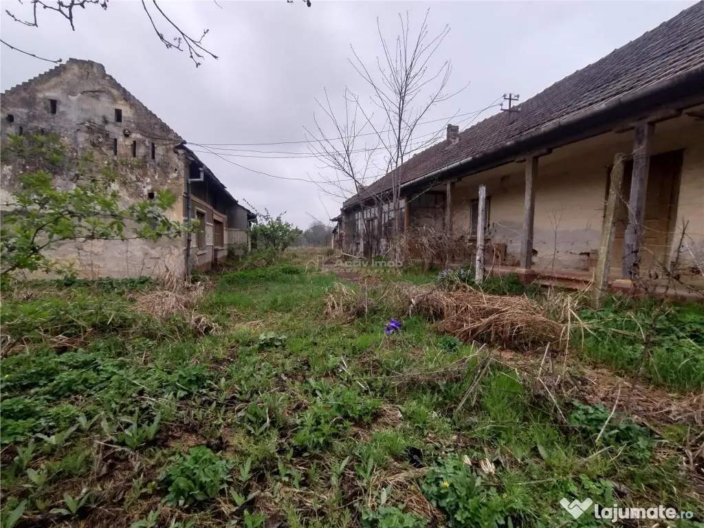 Iecea Mare - Timis, Casa cu Gradina, 1800mp Teren, Pret Nego 