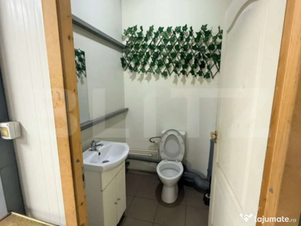 Oportunitate Business: Spațiu Comercial de Închiriat – L 