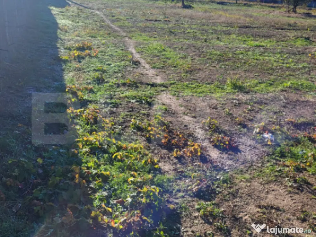 Teren intravilan, 500 mp, Floresti-Simnicul de sus 