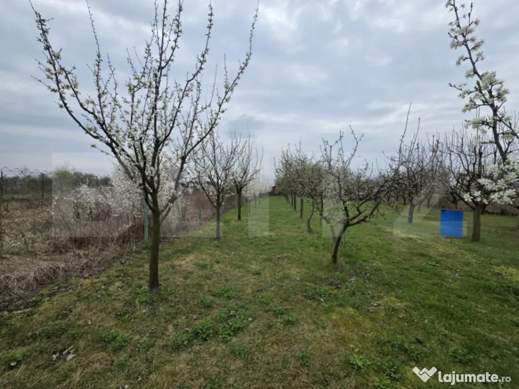 Teren intravilan de vanzare, 2.877 mp, zona Apateu Satu Mare