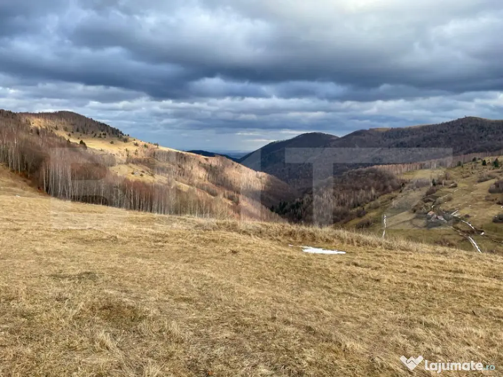 Teren Construibil - Muntele Baisorii , 5000mp - cu posibilit