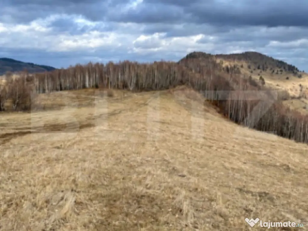 Teren Construibil - Muntele Baisorii , 5000mp - cu posibilit