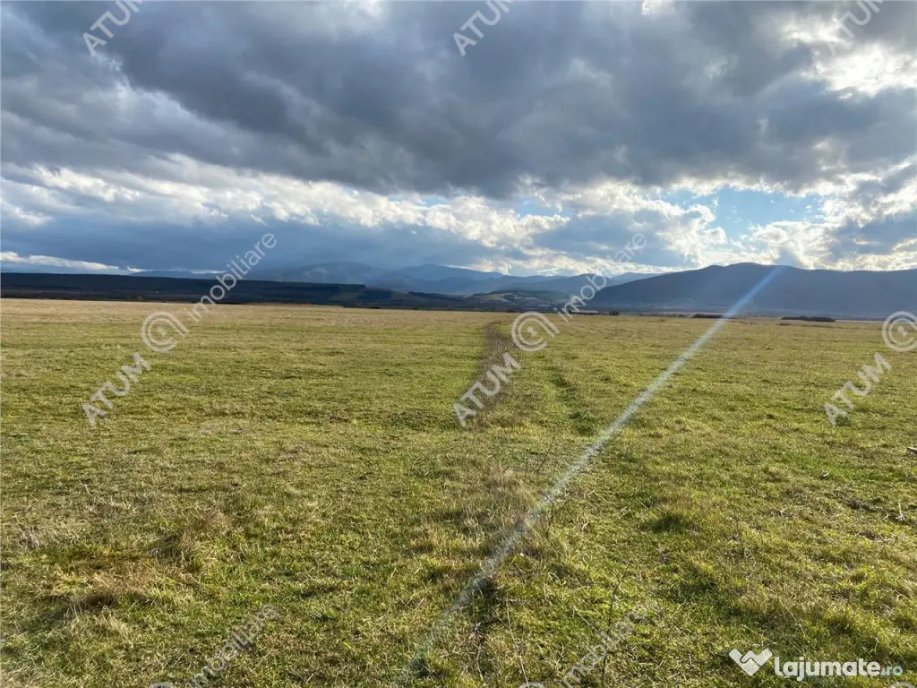 Teren de 584 mp in Sibiu pretabil investitie 