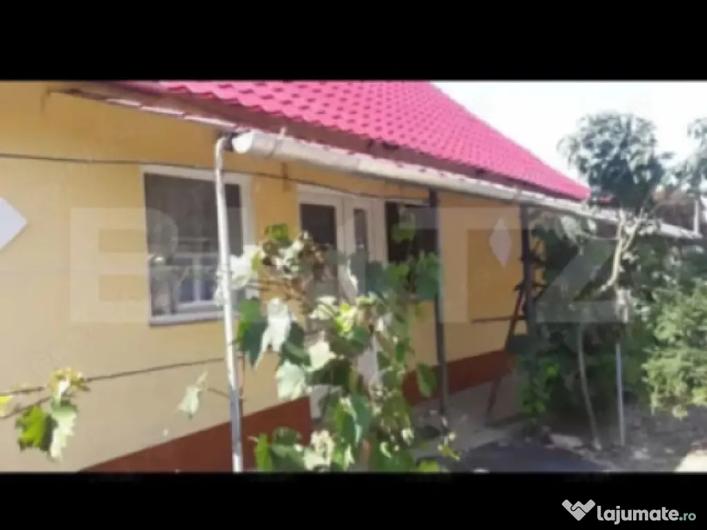 Doua case intr-o curte de 952 mp, Paleu-liniste, spatiu, po 
