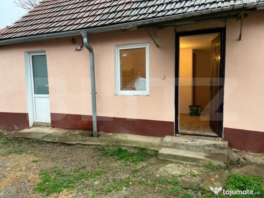 Doua case intr-o curte de 952 mp, Paleu-liniste, spatiu, po 