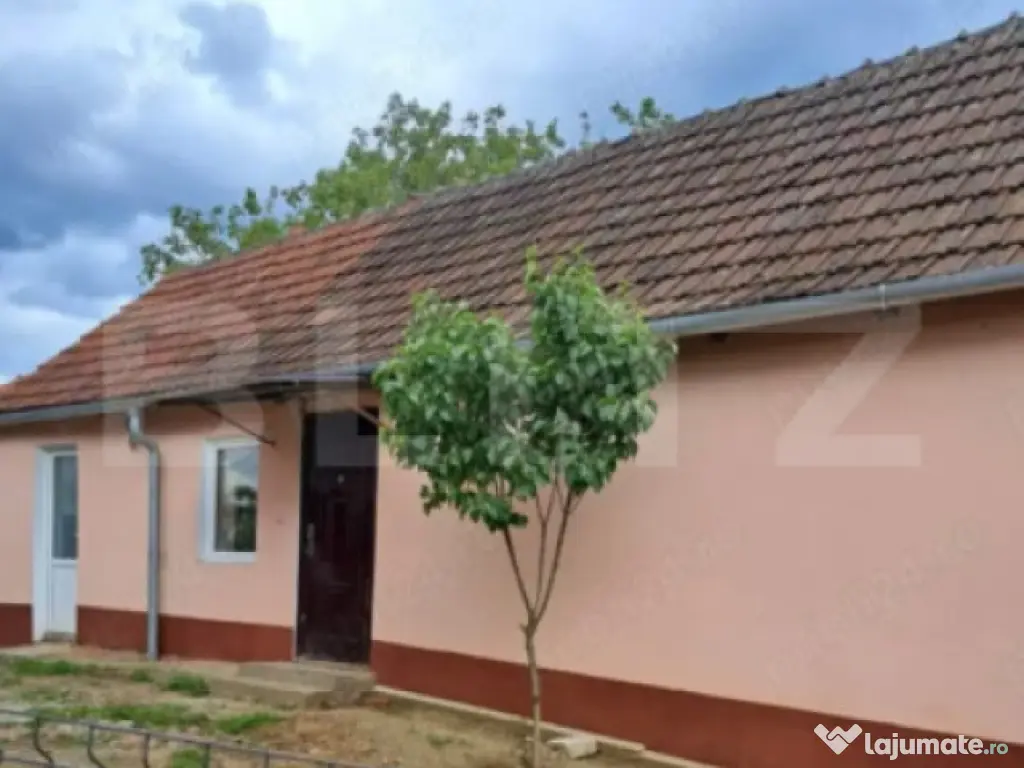 Doua case intr-o curte de 952 mp, Paleu-liniste, spatiu, po 