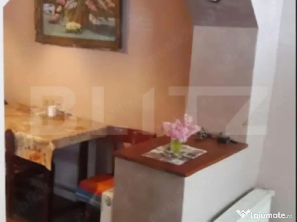 Doua case intr-o curte de 952 mp, Paleu-liniste, spatiu, po 