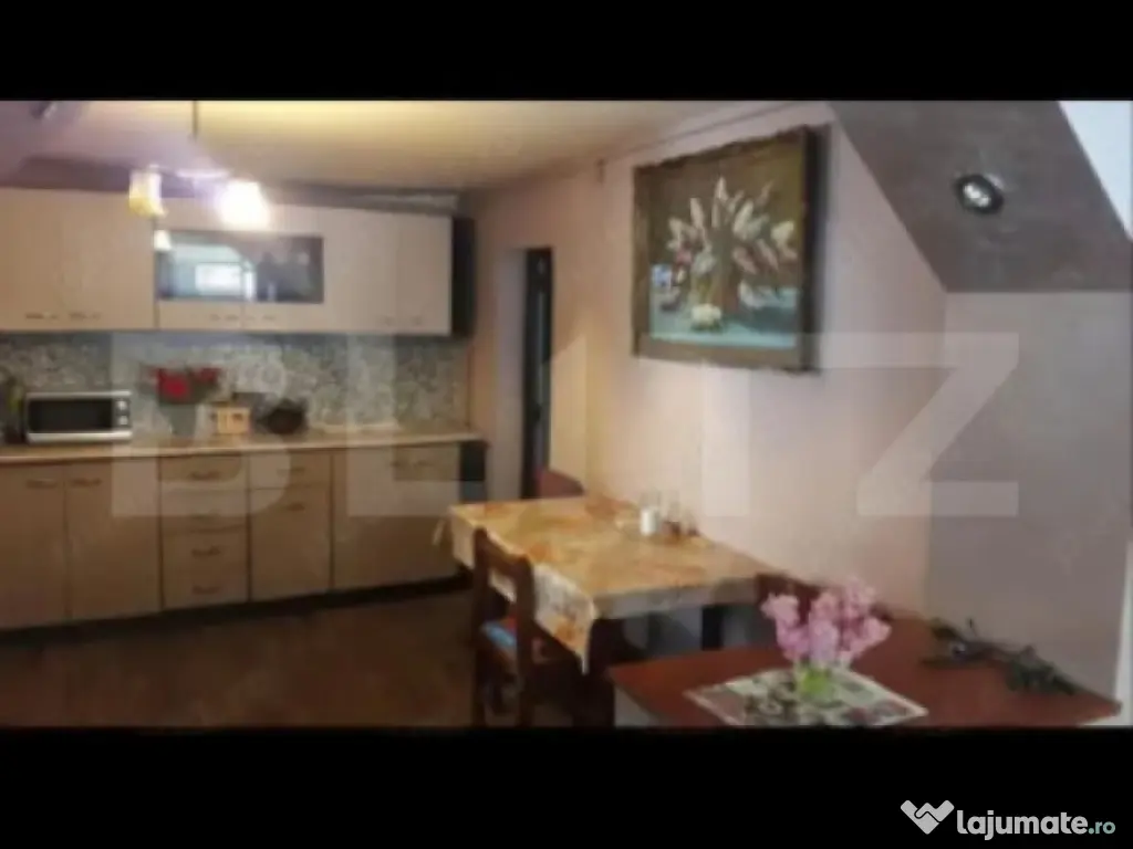 Doua case intr-o curte de 952 mp, Paleu-liniste, spatiu, po 