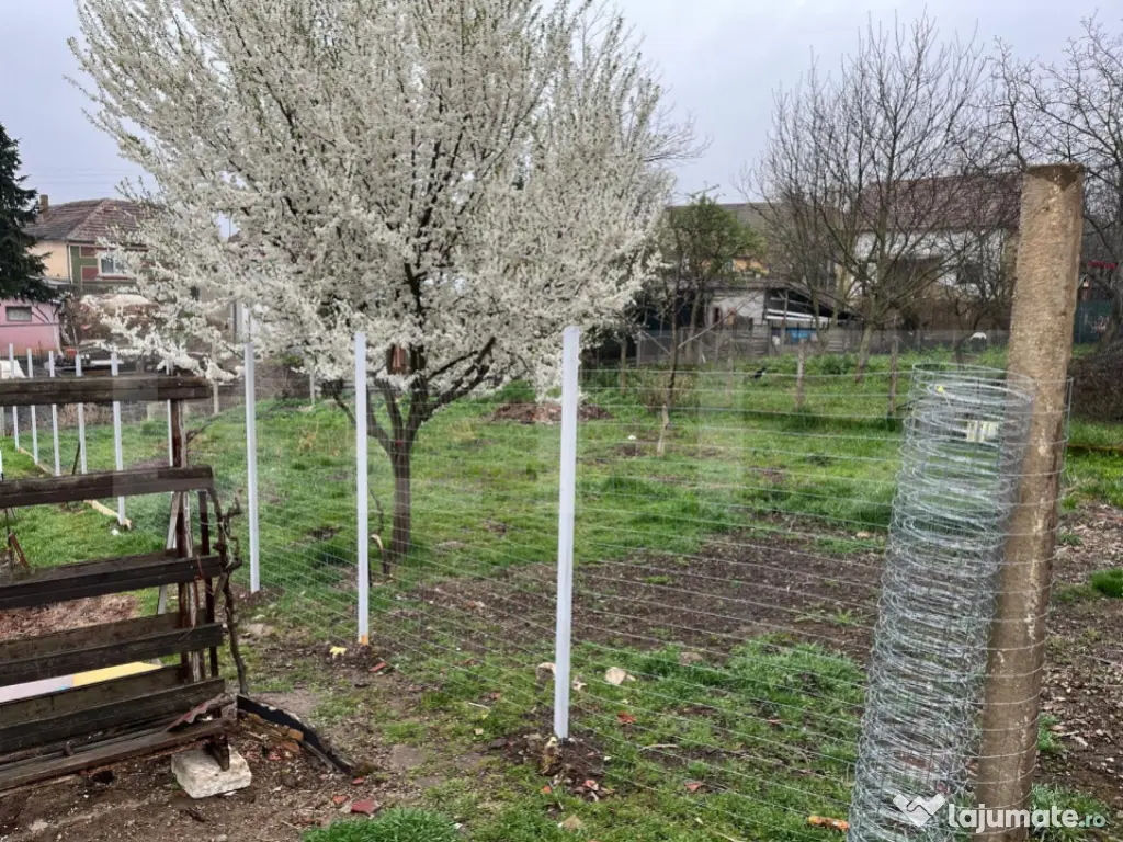 Doua case intr-o curte de 952 mp, Paleu-liniste, spatiu, po 