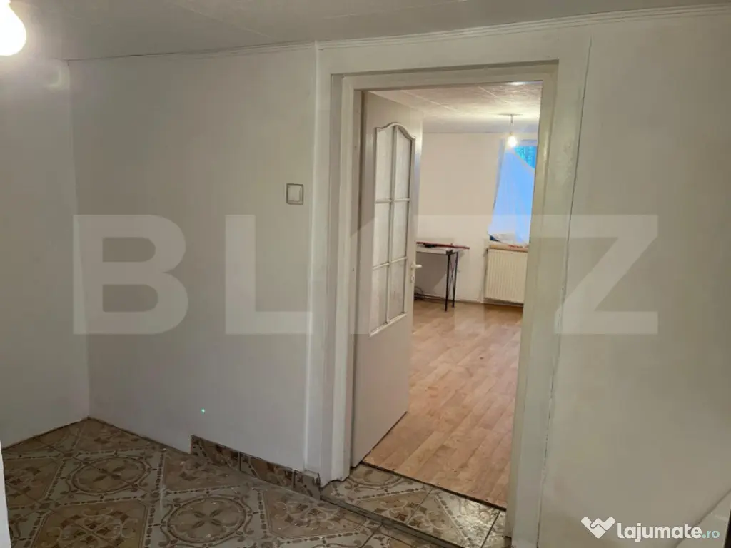 Doua case intr-o curte de 952 mp, Paleu-liniste, spatiu, po 