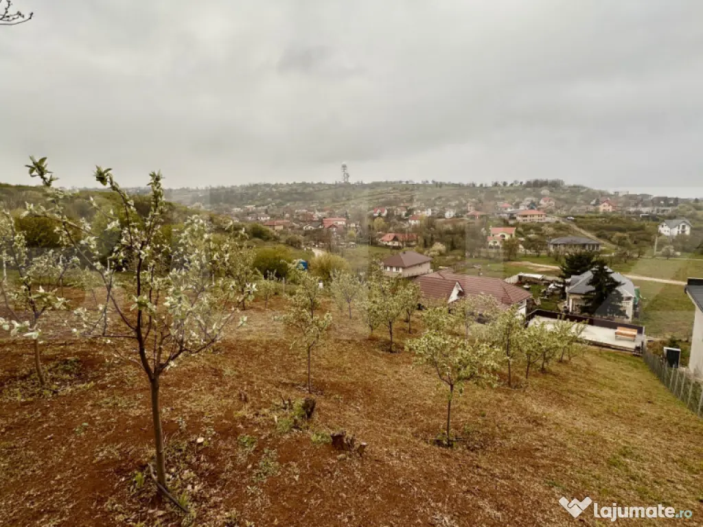 Casă Oncea, teren 1988mp, 4 dormitoare, mobilată și utila 