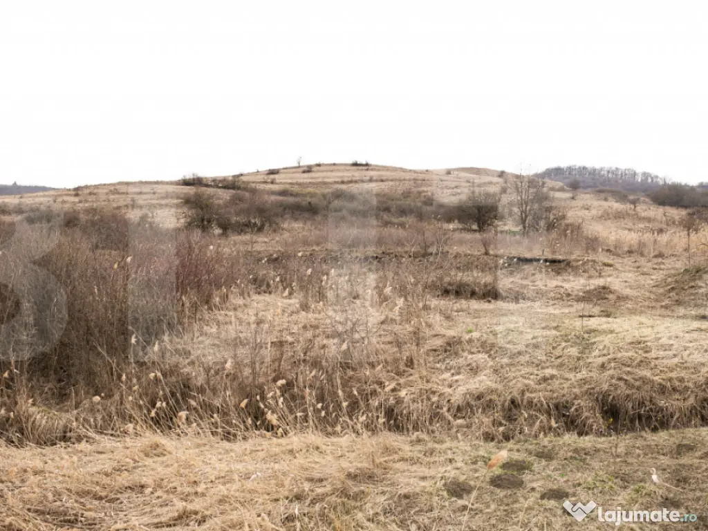 Teren 7088 mp în Borhanci – achiziție integrală sau sep 