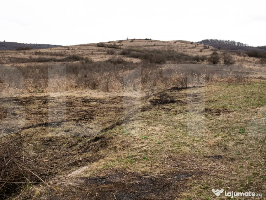 Teren 7088 mp în Borhanci – achiziție integrală sau sep 