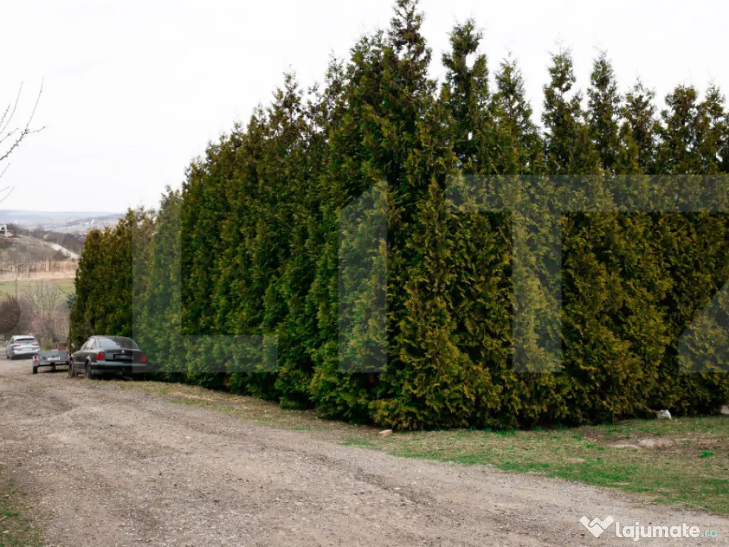 Teren 7088 mp în Borhanci – achiziție integrală sau sep 