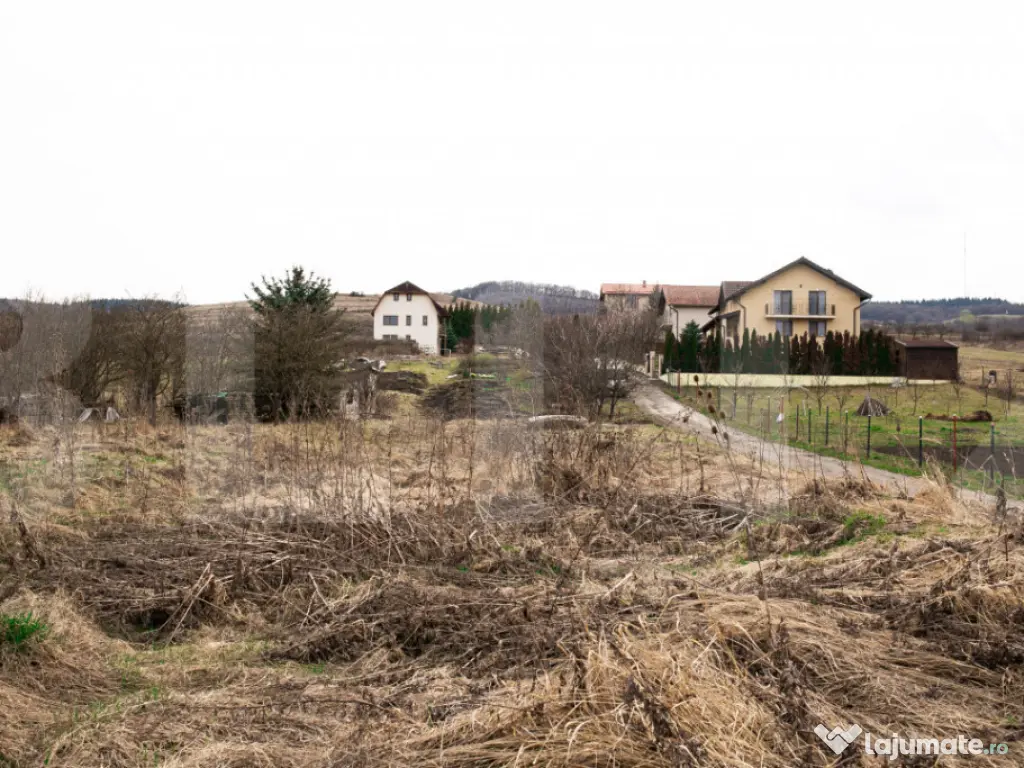 Teren 7088 mp în Borhanci – achiziție integrală sau sep 