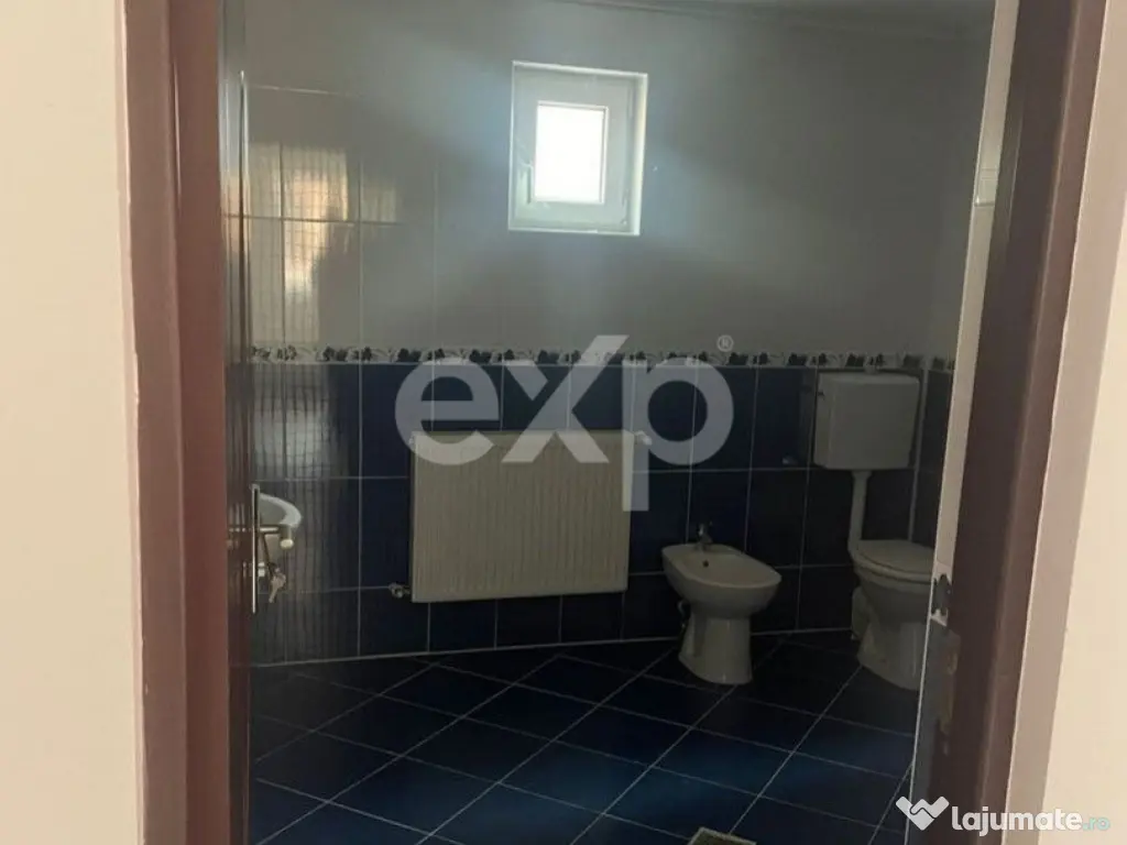 Casă / Vilă cu 6 camere de vânzare Leontinesti - Bacau 