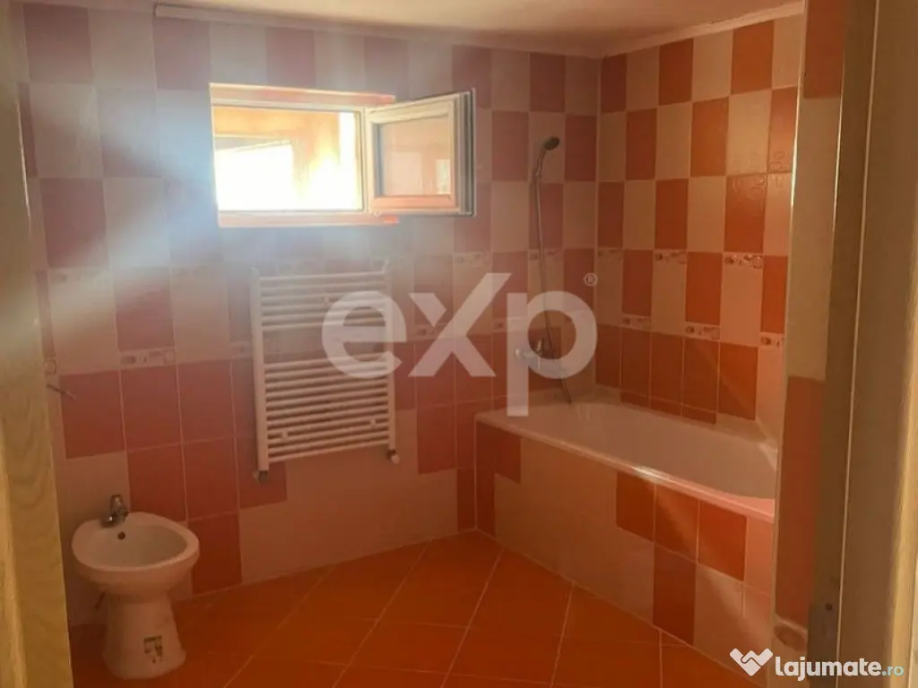 Casă / Vilă cu 6 camere de vânzare Leontinesti - Bacau 