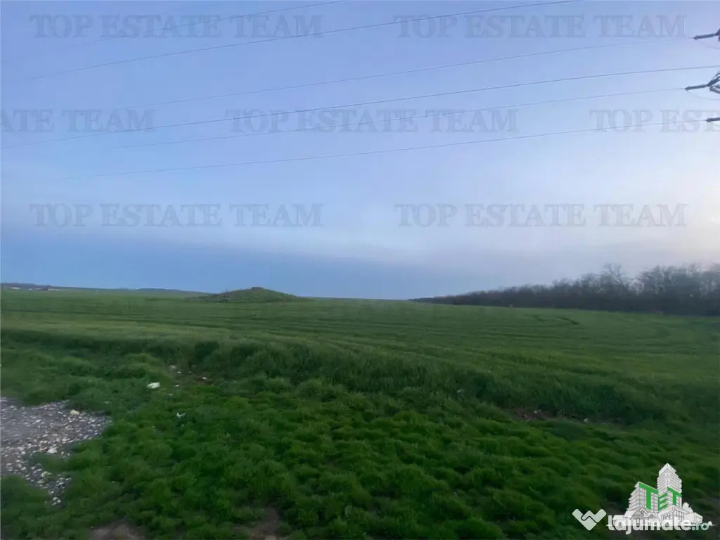 Teren intravilan 15000 mp Costinesti, Constanta 