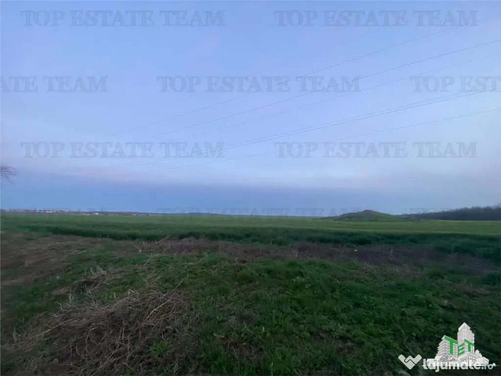 Teren intravilan 15000 mp Costinesti, Constanta 