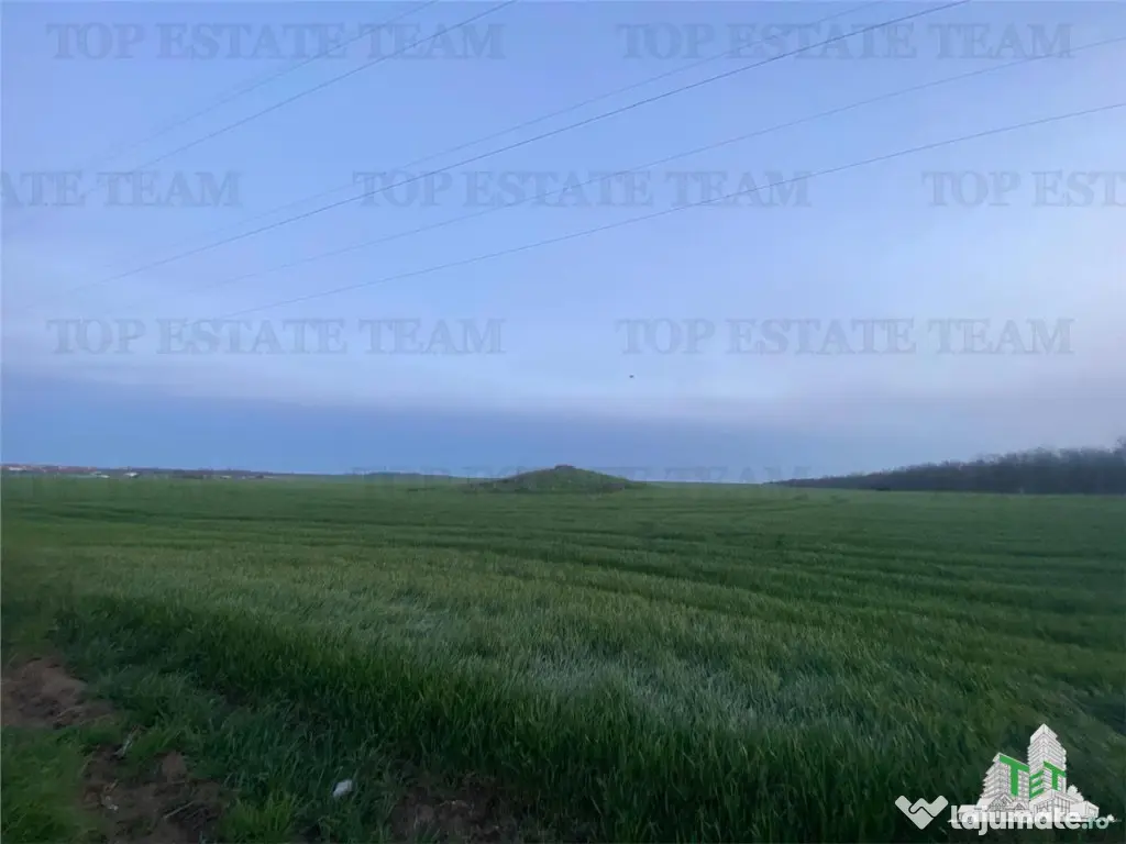 Teren intravilan 15000 mp Costinesti, Constanta 