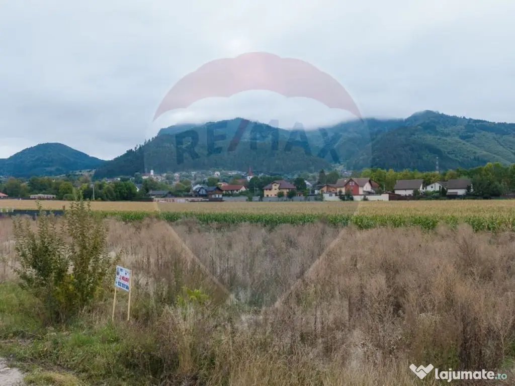 Teren 440mp Sacele - Strada Gospodarilor 
