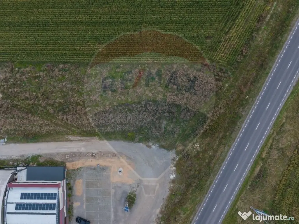 Teren 440mp Sacele - Strada Gospodarilor 