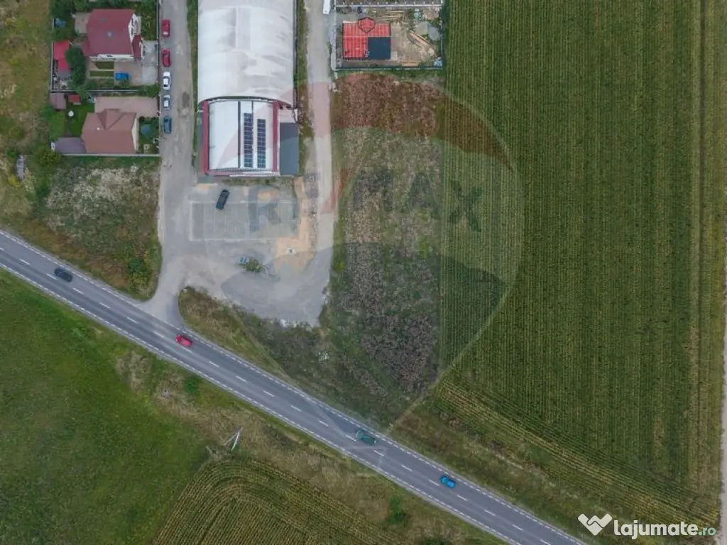 Teren 440mp Sacele - Strada Gospodarilor 