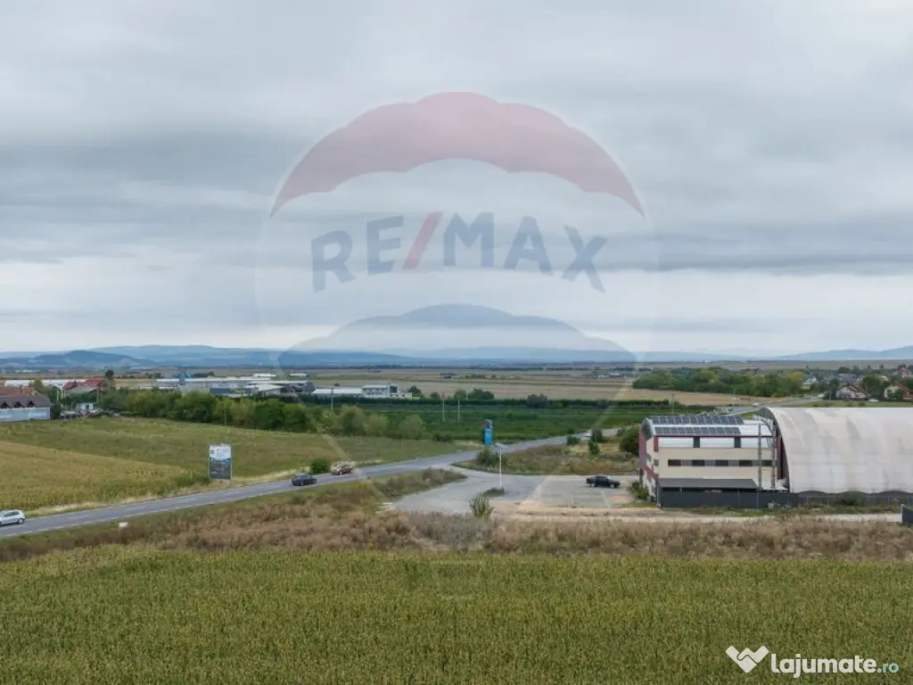 Teren 440mp Sacele - Strada Gospodarilor 