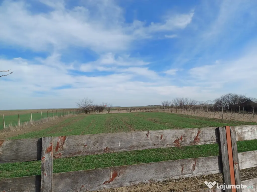 Teren intravilan 5000mp-toate utilitatile-zona mixta (constructii + livada) 