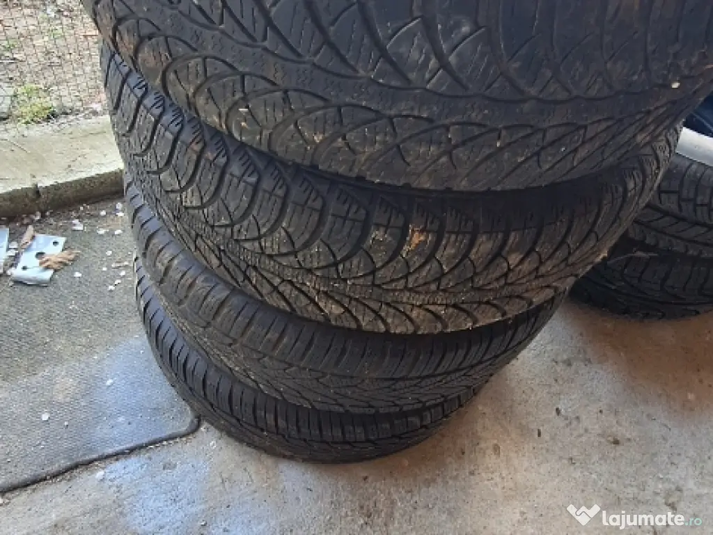 Porumbei ciungi de Ploiesti