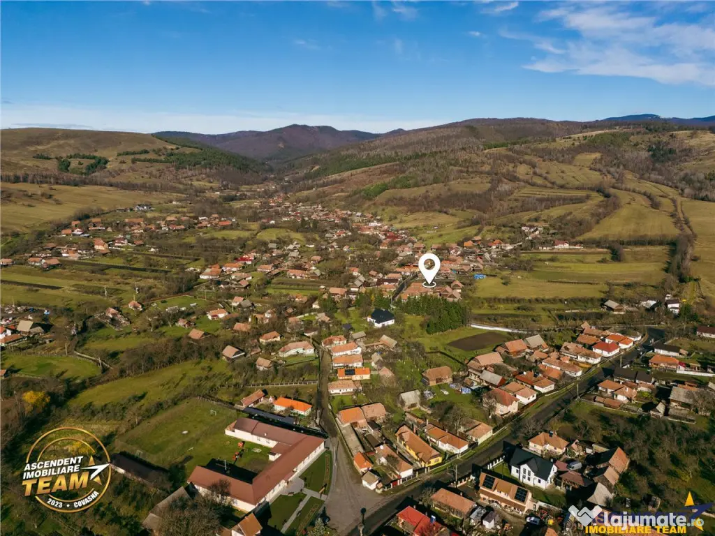 FILM! Domeniu de 6.221mp, livada pomi fructiferi casa si ane 