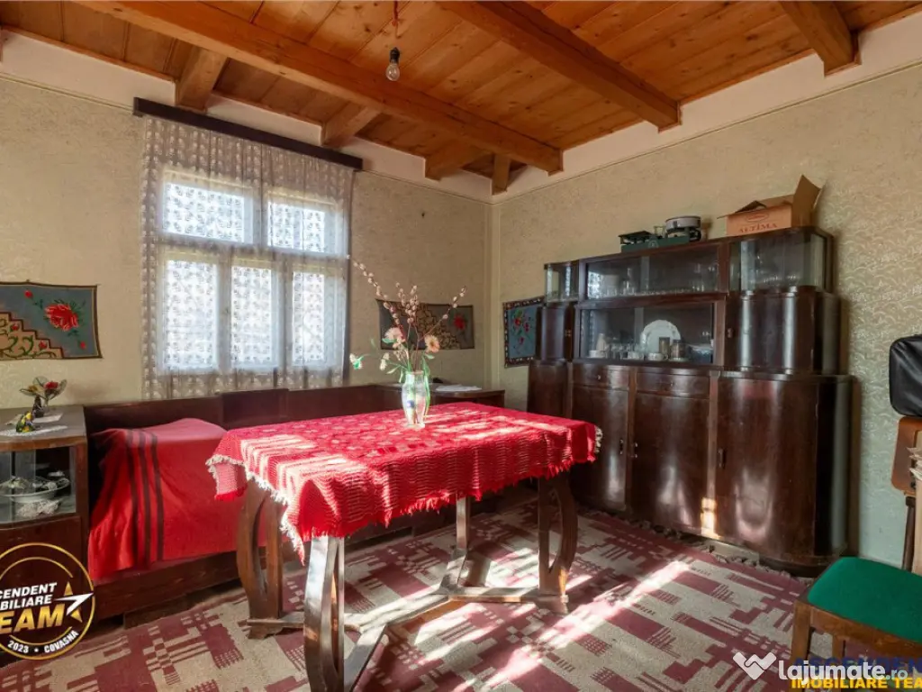 FILM! Domeniu de 6.221mp, livada pomi fructiferi casa si ane 