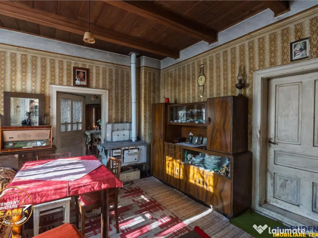 FILM! Domeniu de 6.221mp, livada pomi fructiferi casa si ane 