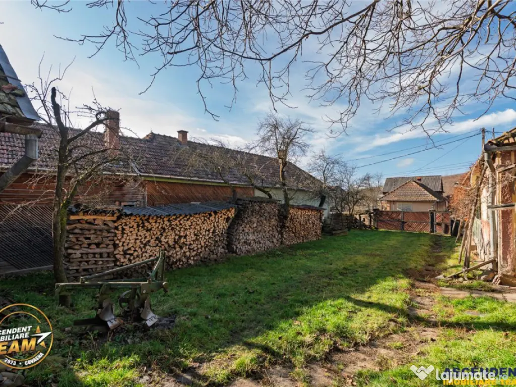 FILM! Domeniu de 6.221mp, livada pomi fructiferi casa si ane 