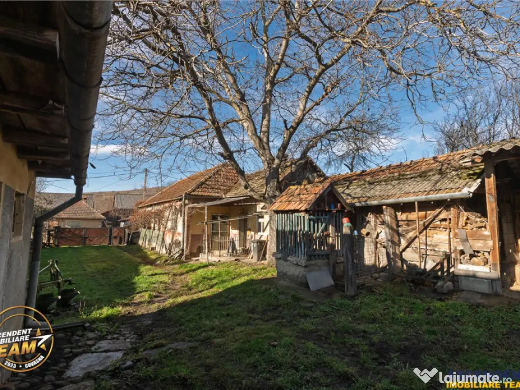 FILM! Domeniu de 6.221mp, livada pomi fructiferi casa si ane 