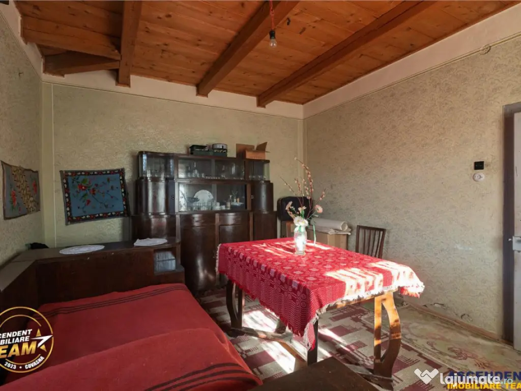 FILM! Domeniu de 6.221mp, livada pomi fructiferi casa si ane 