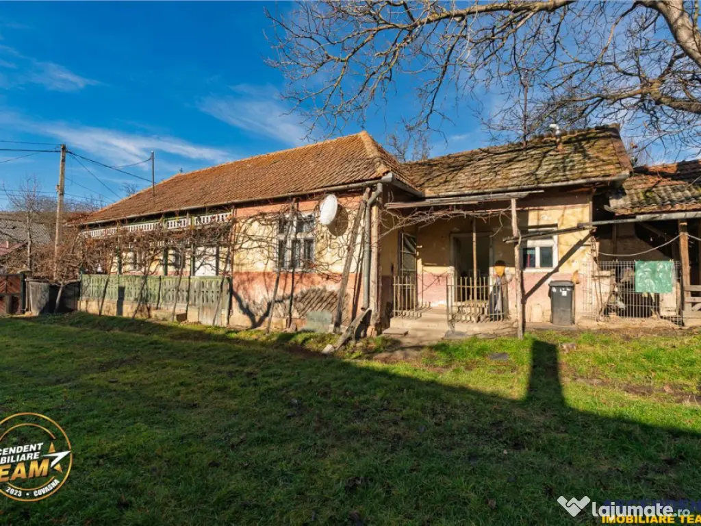 FILM! Domeniu de 6.221mp, livada pomi fructiferi casa si ane 