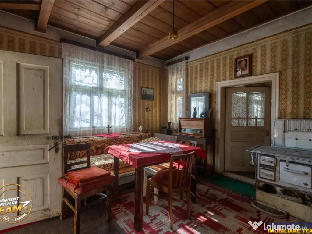 FILM! Domeniu de 6.221mp, livada pomi fructiferi casa si ane 