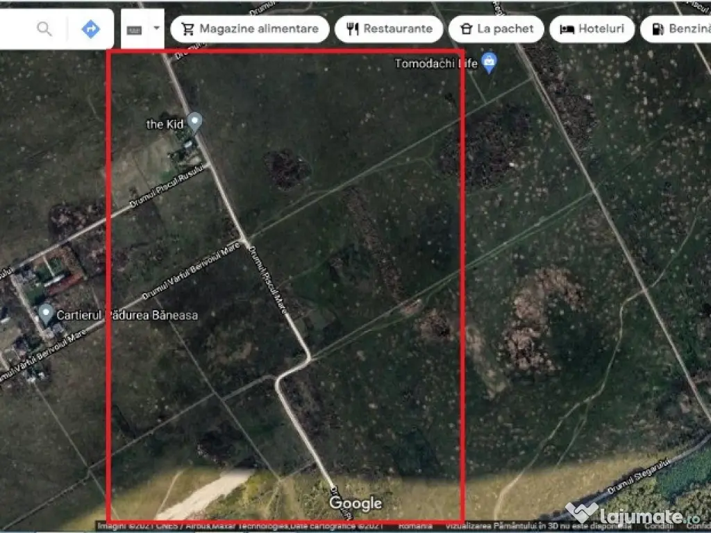 Teren Piscu Mare 5000 mp New 2026 Investitie 