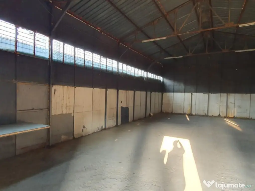 BLEJOI - hale intre 200 mp si 1000 mp la 3 euro/mp/luna + TV
