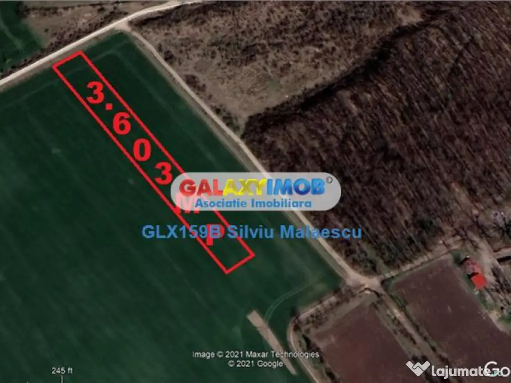 Buftea 3.603 Mp str. Aviatiei 