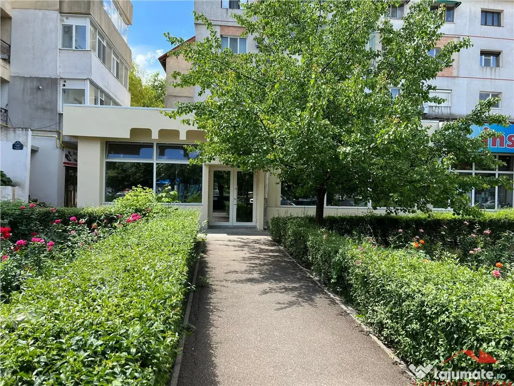 Spatiu Comercial Stradal-trifazic,175 mp, B-dul Brailei 