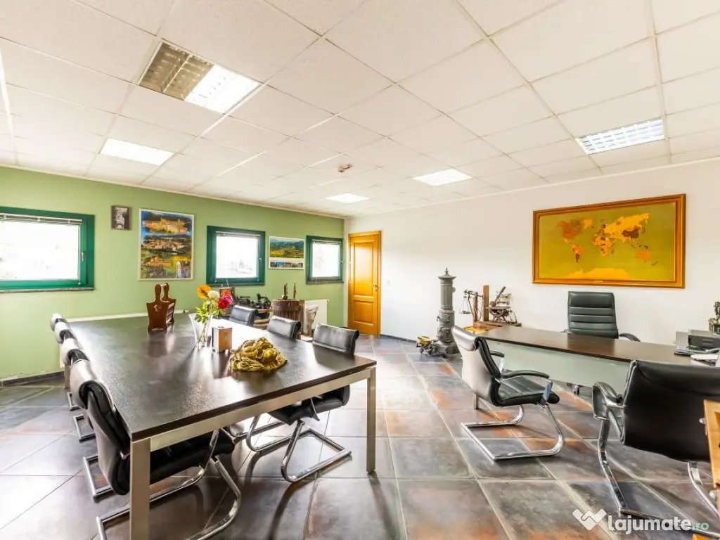 Hală producție în localitatea Sântana 